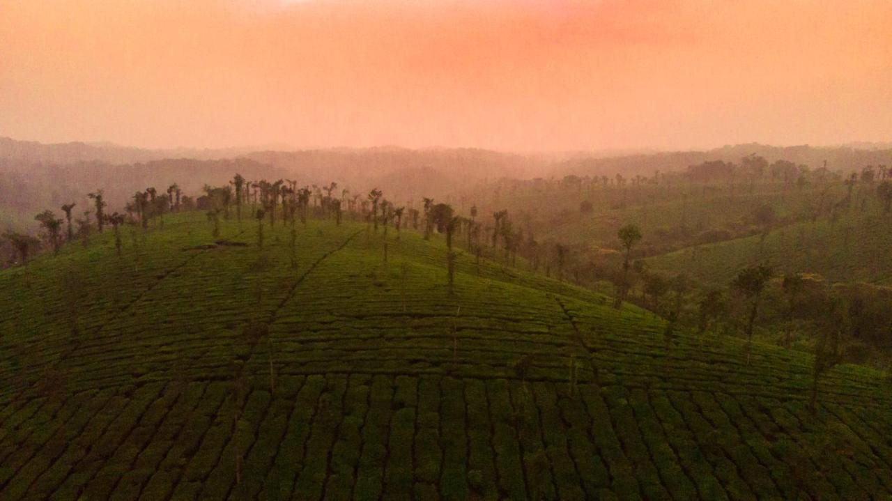 Вилла Ama Plantation Trails Coorg Gonikoppal Экстерьер фото